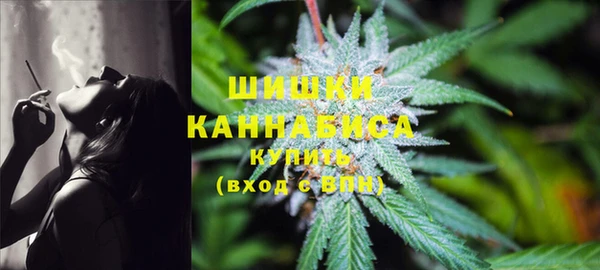 прущий лед Краснослободск