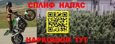 сатива Будённовск