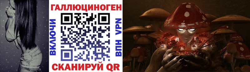 Галлюциногенные грибы прущие грибы  гидра вход  Керчь 