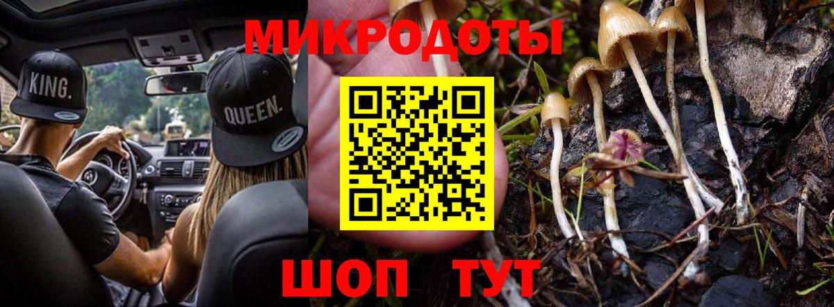 Галлюциногенные грибы мухоморы  Керчь  Галлюциногенные грибы Psilocybe 