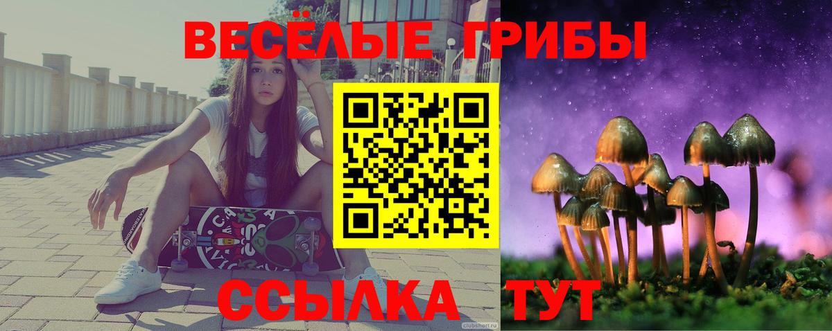 Псилоцибиновые грибы Psilocybe Керчь