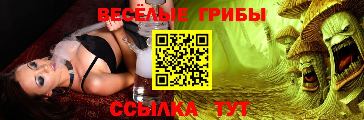 Галлюциногенные грибы Cubensis  Вход с VPN  Псилоцибиновые грибы MAGIC MUSHROOMS  Керчь 